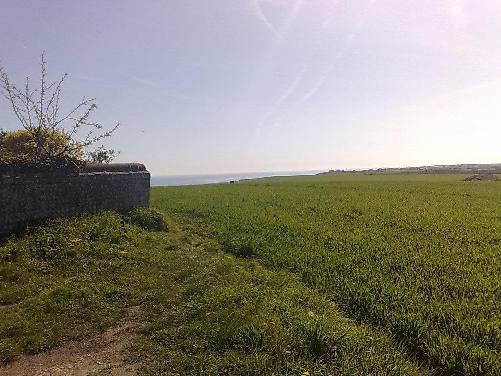 Seaview Cottage Bacton  Exterior foto